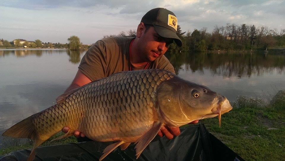 Hermes Peris 25 - 26 aprilie 2015 - 111955009912258009023101035992090n.jpg